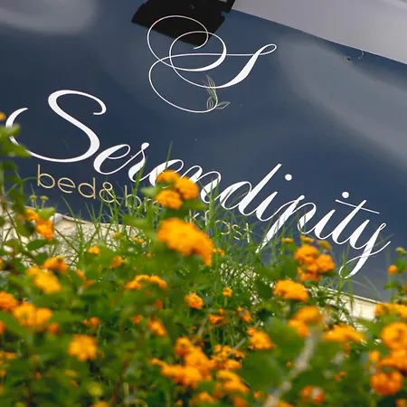 Serendipity 3*