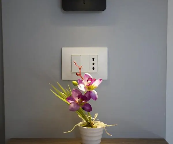 Bed & Breakfast Serendipity