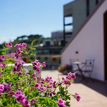 Serendipity ベッド・アンド・ブレックファスト