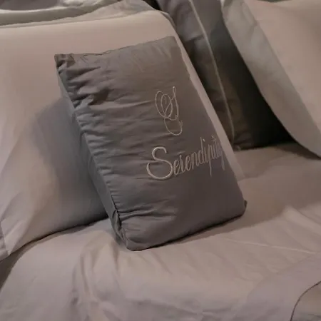 Serendipity Mesyna