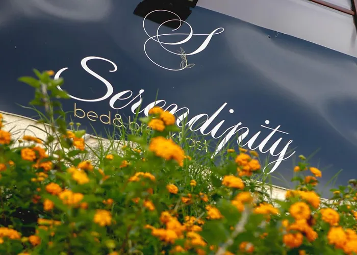 Serendipity 4*